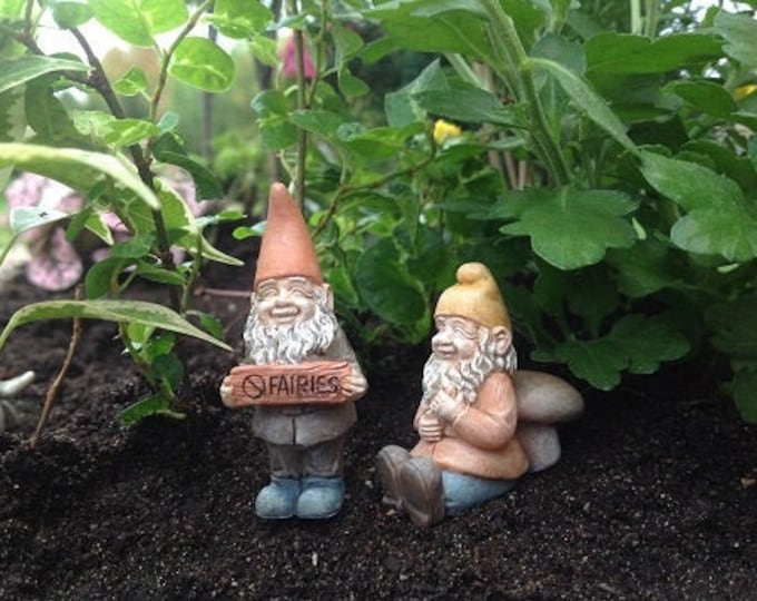 Itty Bitty Timmy and Johnny the Gnome (1" Tall) (Choose One) for the Terrarium or Fairy Garden