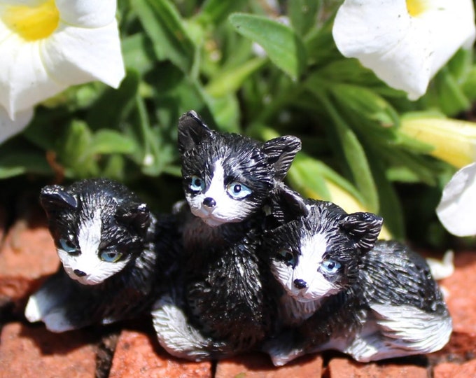 Oreo’s Pals (3 Black and White Kittens) (1.0" Tall) for the Fairy Garden