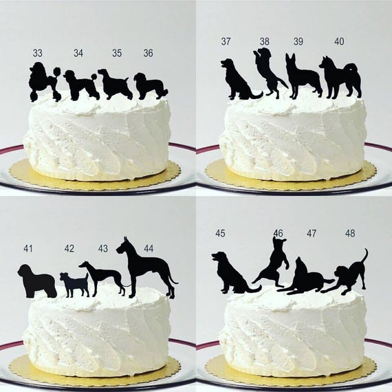 Personalized Fishing Wedding Cake Topper With Dog, Fishing Themed Wedding  Cake Topper, Fishing Topper, Bride Dragging Groom, MADE in USA -  Canada