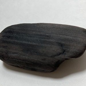 Versteinertes Holz