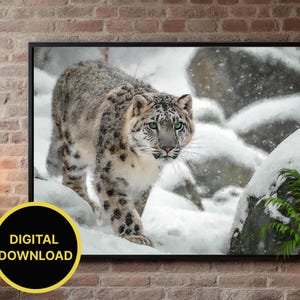 Snow Leopard Digital Oil Painting: Winter Wildlife Art Print (Digital Download