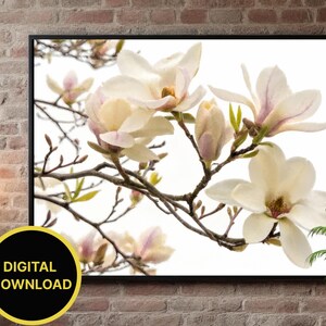 Weiße Magnolie Ölgemälde Druck: Frühlingsblumen Stillleben (Digitaler Download
