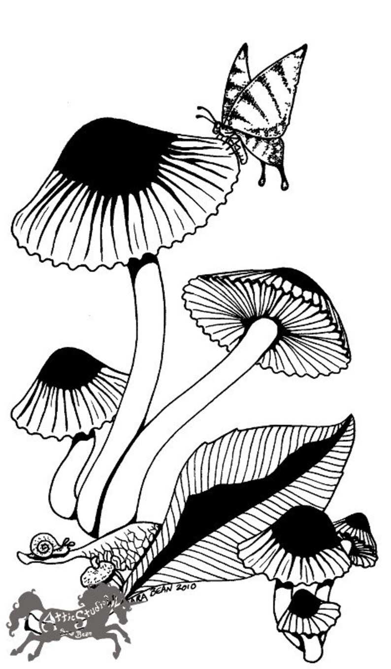 Mushrooms and Butterfly Drawing 9 by 12 Inches including Mat | Etsy
