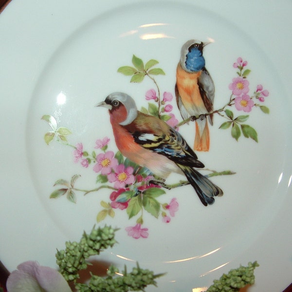 JKW  Bird Collectors Plate from Western Germany