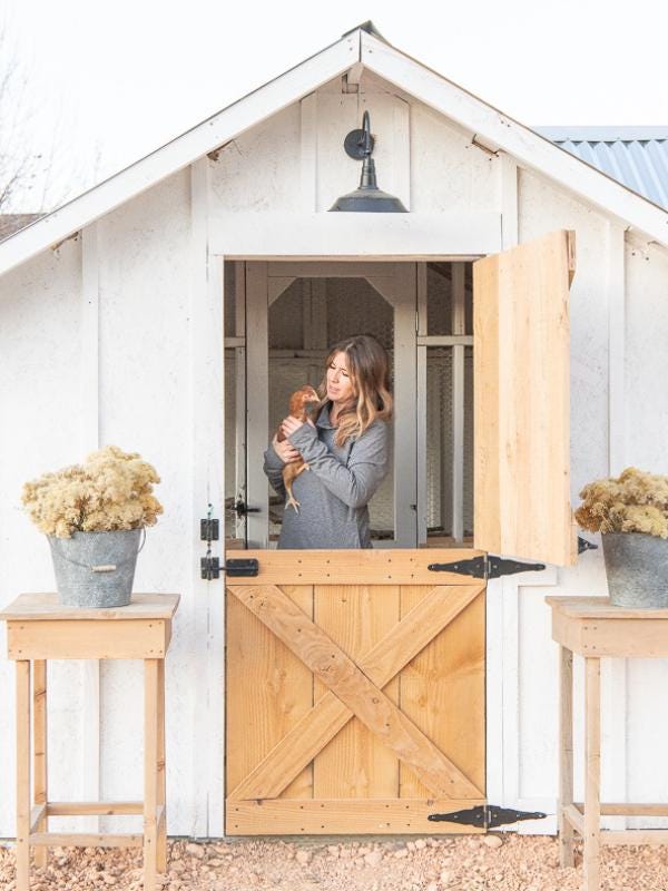 スタイリッシュな鶏小屋のデジタル建築プラン