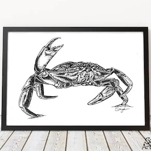 Dungeness Crab - Hand-Drawn Pen Ink Wall Art, Digital Download, Instant Print, Various Sizes