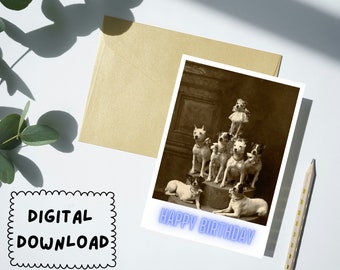 Druckbare Geburtstagskarte sofort download 5x7 Zoll Karten für Geburtstage. Geburtstagskarte mit Hunden.