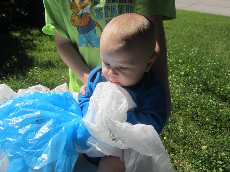 Raccoon Plastic Bag Holder Crochet Home Decor Walmart Bag Etsy