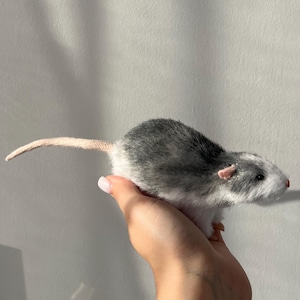 Könnte beinhalten: Ein lebensechtes Stofftier in Form einer Ratte mit grau-weißem Fell, einem langen rosa Schwanz und rosa Ohren. Die Ratte wird in einer Hand vor einem schlichten weißen Hintergrund gehalten. Das Fell der Ratte hat eine weiche, realistische Textur.