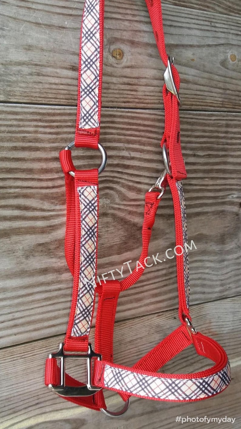 Sparkly Horse Halters Unique Designs Great for Photoshoots Etsy