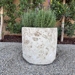 May include: A weathered, cylindrical concrete planter filled with lavender plants. The planter has a rough, textured surface with a light gray color. The lavender has green foliage and purple flowers. The planter is set on a bed of small gray stones.