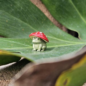 Puede incluir: Una peque&ntilde;a figura de rana verde con un gorro de seta roja con lunares blancos. La rana est&aacute; sentada en una hoja verde grande. Decoraci&oacute;n de jard&iacute;n caprichosa.