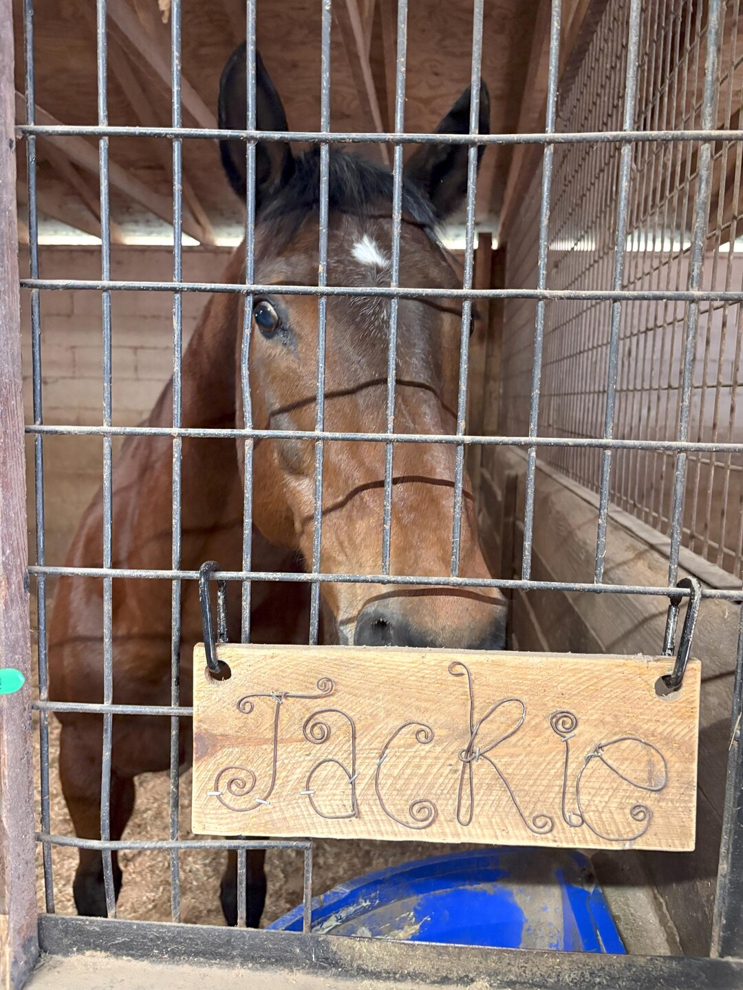 Stall Letters Horse Stall Name Sign up to 7 Letters, Handmade and Personalized for ...