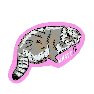 Pallas Cat Sticker