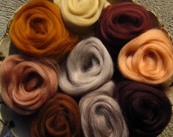 Soft Expanded BROWNS Merino Collection for Spinners & Felters SUPER FAST Shipping!