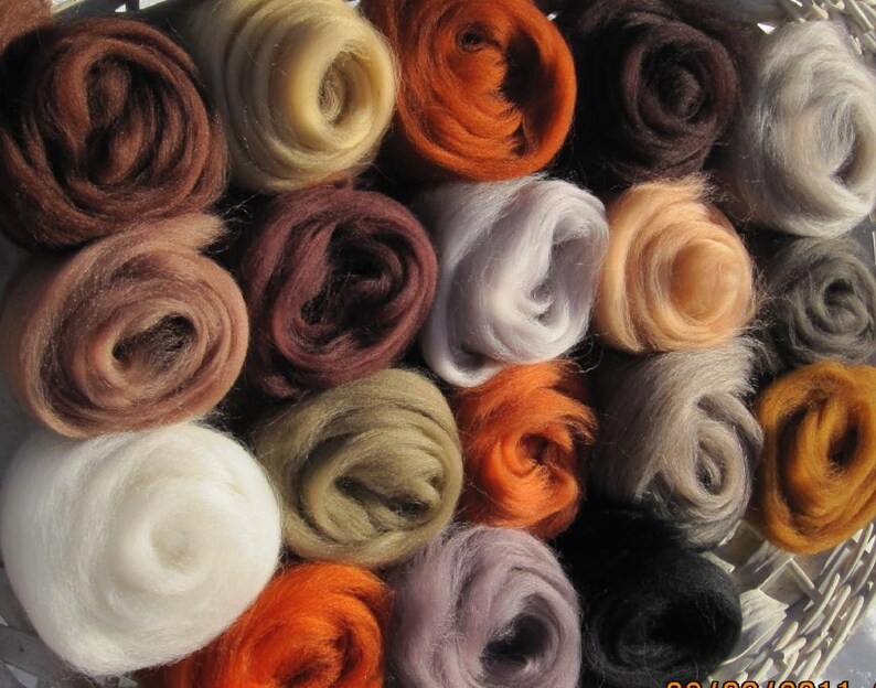 Color Collection Animal Attraction Ashland Bay Naturals 20