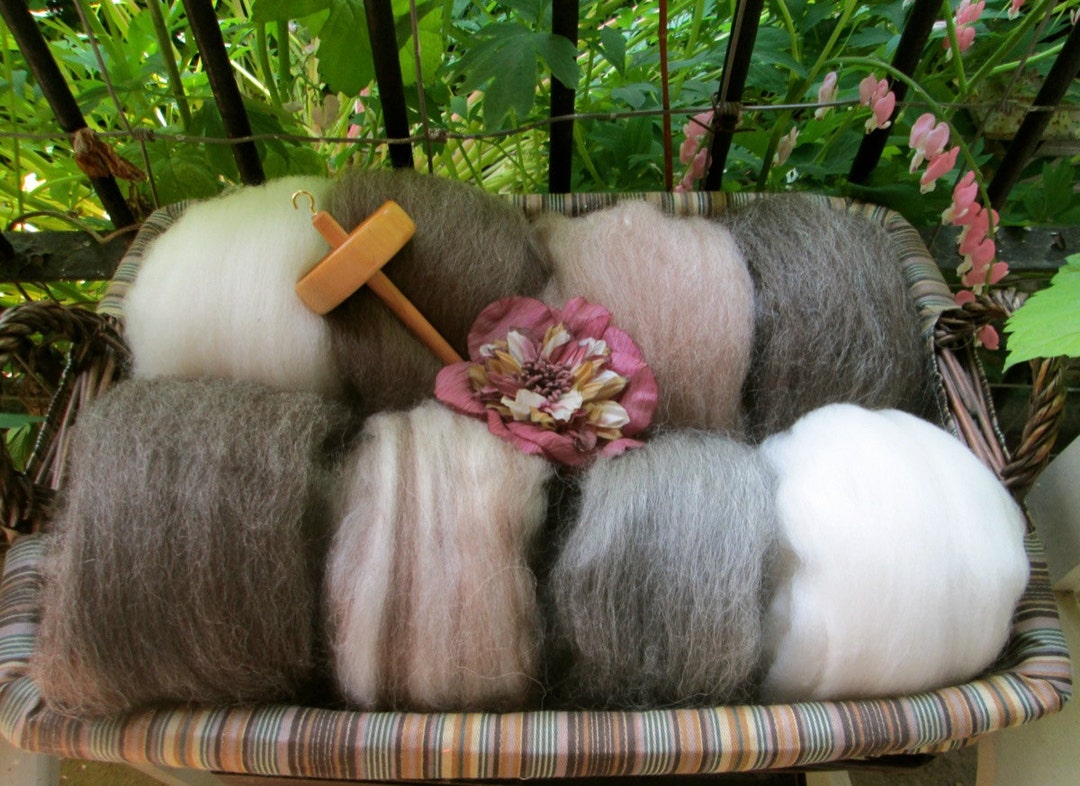 Natural Combed Wool Top Collection Sampler Spinners and Felters YOU ...