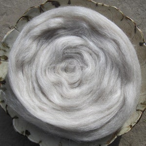 May include: A close-up of a large amount of white, fluffy fiber, resembling wool, arranged in a spiral shape in a white ceramic bowl.