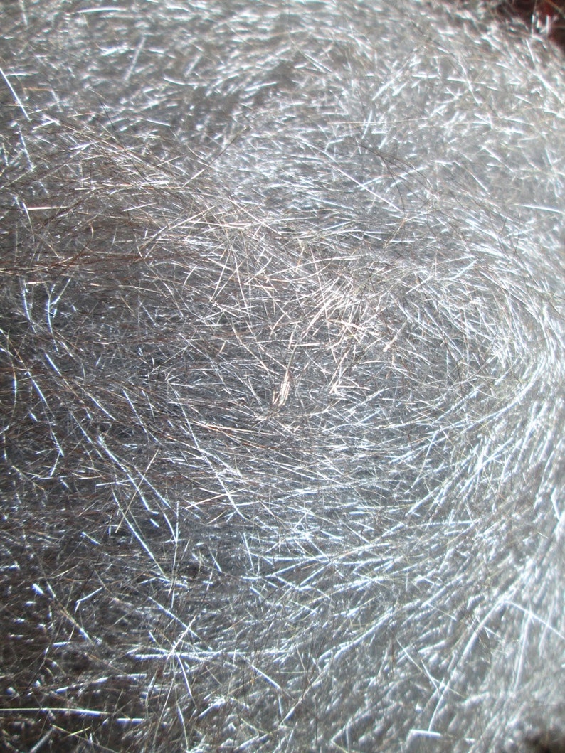 Lowest Price Anywhere Silver Angelina 14 12 Or Full Ounce Wholesale Too SUPER FAST SHIPPING!