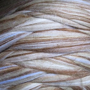 May include: A close-up of a bundle of brown, white, and light blue wool roving. The roving is arranged in a swirling pattern.