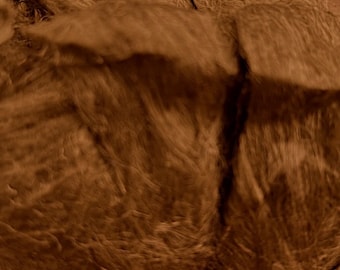 May include: A close-up of a pile of brown, natural fibers. The fibers are long and thin, and they are tangled together in a loose, messy pile.