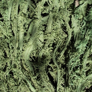 May include: Close-up of a textured, olive green fabric. The material appears to be made of interwoven strands with a frayed, fringed texture. The fabric has a dense, layered appearance, with varying shades of green.