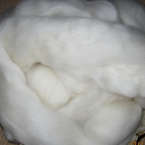 May include: A close-up of a large amount of white wool fiber. The wool is soft and fluffy, and it is perfect for spinning or felting.