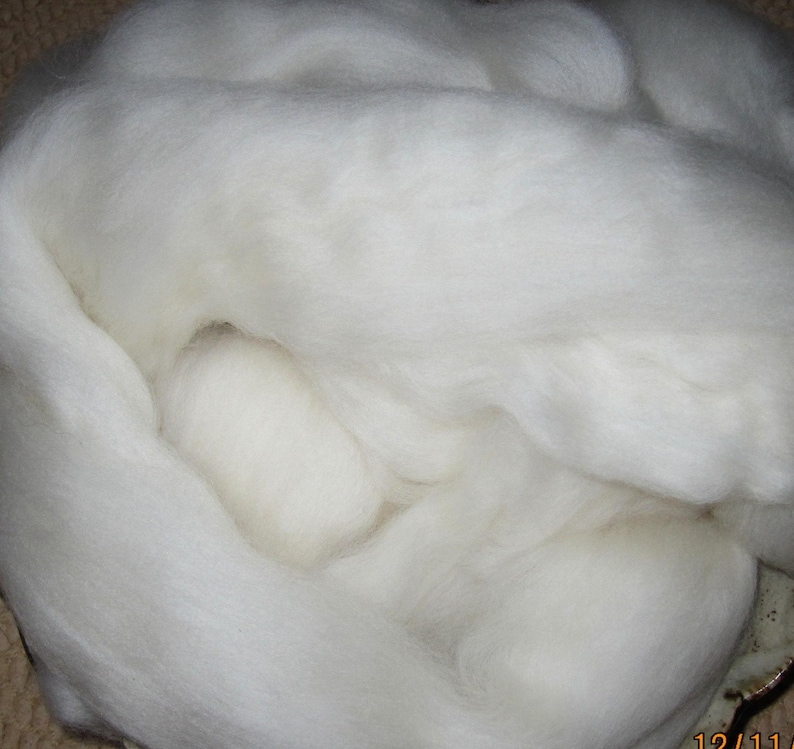 May include: A close-up of a large amount of white wool fiber. The wool is soft and fluffy, and it is perfect for spinning or felting.