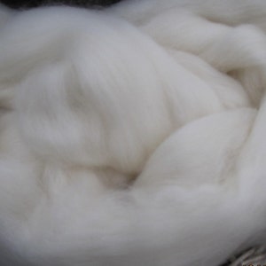 May include: A close-up of a large amount of white wool fiber. The wool is soft and fluffy, and it is perfect for spinning or felting.