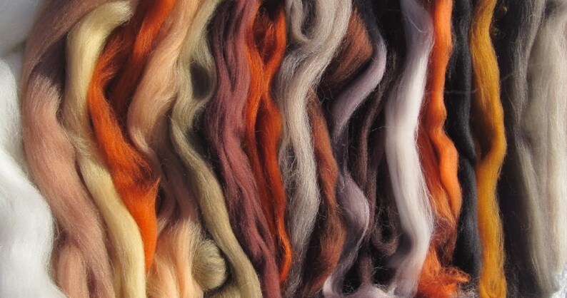 Color Collection Animal Attraction Ashland Bay Naturals 20