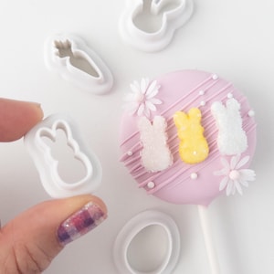 May include: White plastic cookie cutters in the shapes of a bunny, carrot, and an oval. A pink cake pop with white chocolate drizzle and bunny-shaped candies is in the background.