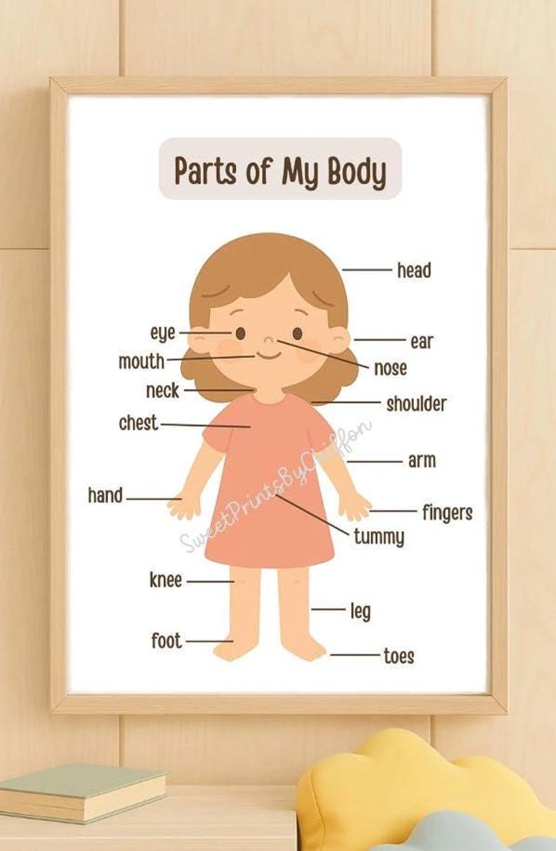 Parts of My Body Toddler Posters – Educational Printable for Kids, Boy ...
