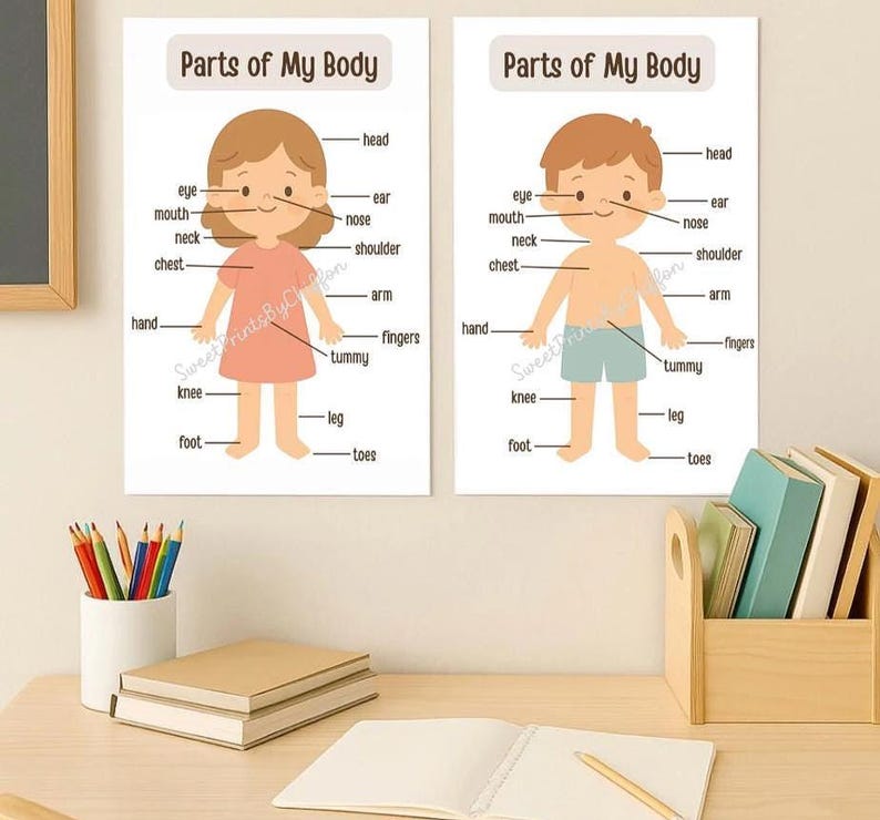 Parts of My Body Toddler Posters – Educational Printable for Kids, Boy ...