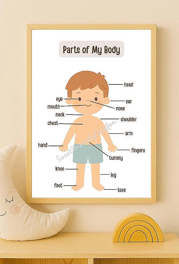 Parts of My Body Toddler Posters – Educational Printable for Kids, Boy ...