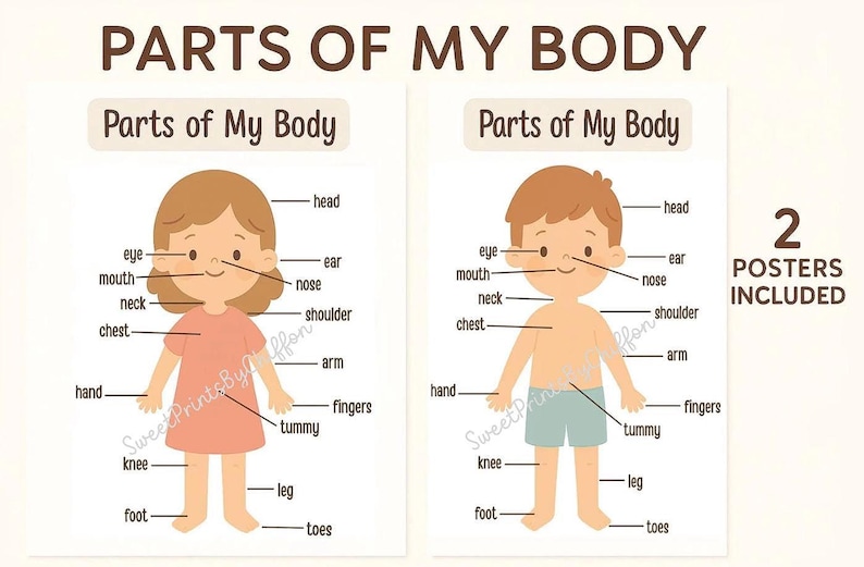 Parts of My Body Toddler Posters – Educational Printable for Kids, Boy ...