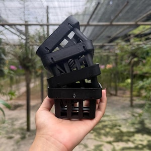 Peut inclure: Une pile de quatre pots à orchidées en plastique noir. Chaque pot a une base carrée avec des barres verticales et une structure en forme de cage. Les pots sont tenus dans une main, avec un arrière-plan flou de serre.