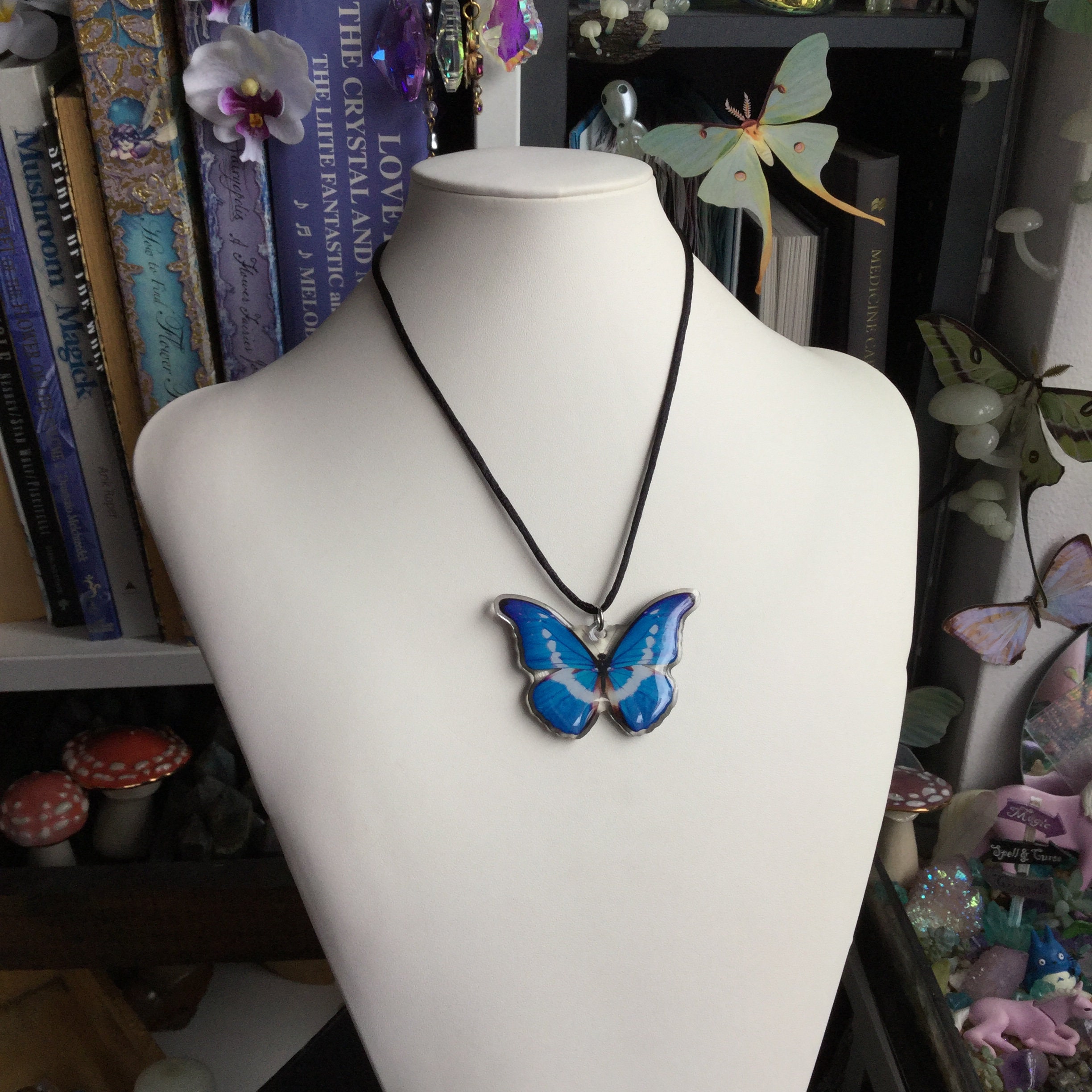 Blue Morpho Butterfly necklace, Cruelty free specimen