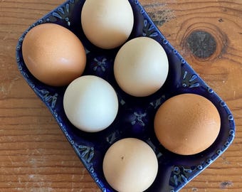 Slip cast hand painted stoneware ceramic pottery farmhouse egg plate, crate, storage, holder with sapphire glaze. Great for backyard chicken