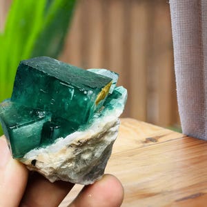 Natural Green Fluorite Crystal