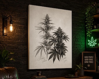 Cannabis Indica & Sativa Botanical Canvas Wall Art | Vintage Cannabis Plant Illustration | Minimalist Weed Art | Botanical Study Print