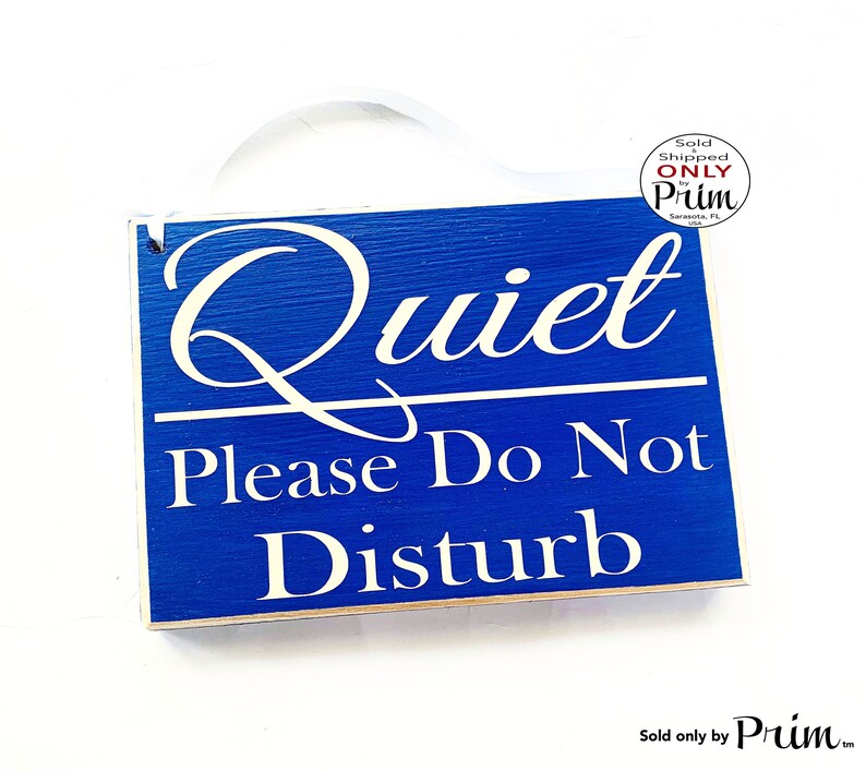 8x6 Quiet Please Do Not Disturb Custom Wood Sign in the Zone - Etsy
