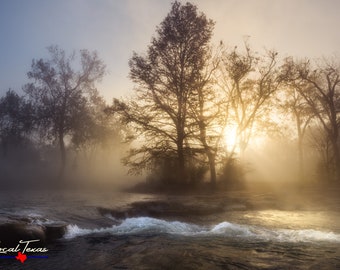 Foggy Sunrise on The San Marcos River - Unframed Photo Print - Light Rays - Texas Wall Art - Unique Gift