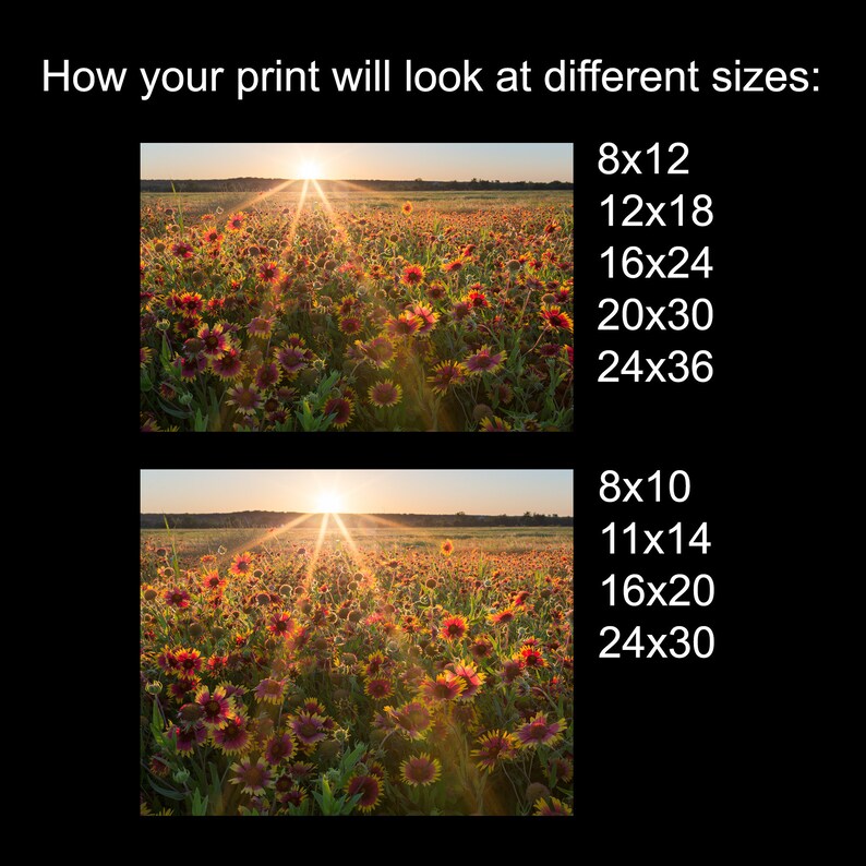 Gaillardia Sunset - Texas Wildflowers - Nature Photo - Rural Landscape - Texas Hill Country Wall Art - Unframed Photo Print - Unique Gift bild 3