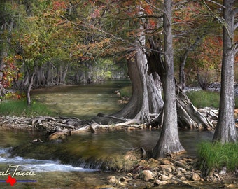 Texas Hill Country Wall Art - Nature Photo Print - Water Landscape - Rural Photography - Blanco River - Wimberley TX - Autumn Cypress Trees