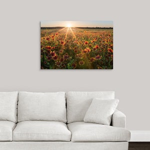 Gaillardia Sunset - Texas Wildflowers - Nature Photo - Rural Landscape - Texas Hill Country Wall Art - Unframed Photo Print - Unique Gift bild 2