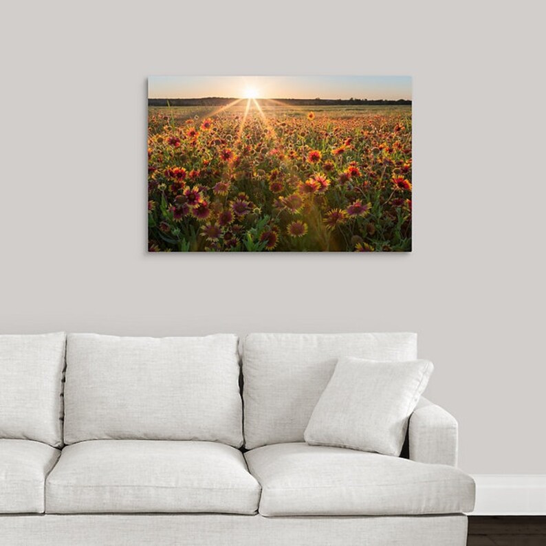 Gaillardia Sunset - Texas Wildflowers - Nature Photo - Rural Landscape - Texas Hill Country Wall Art - Unframed Photo Print - Unique Gift bild 2