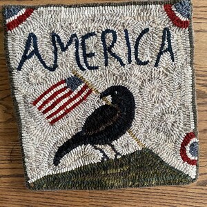 May include: A white and green rug with the word "AMERICA" in black lettering. A black bird is standing on a green hill with an American flag behind it. The rug has red, white, and blue circles in the corners.