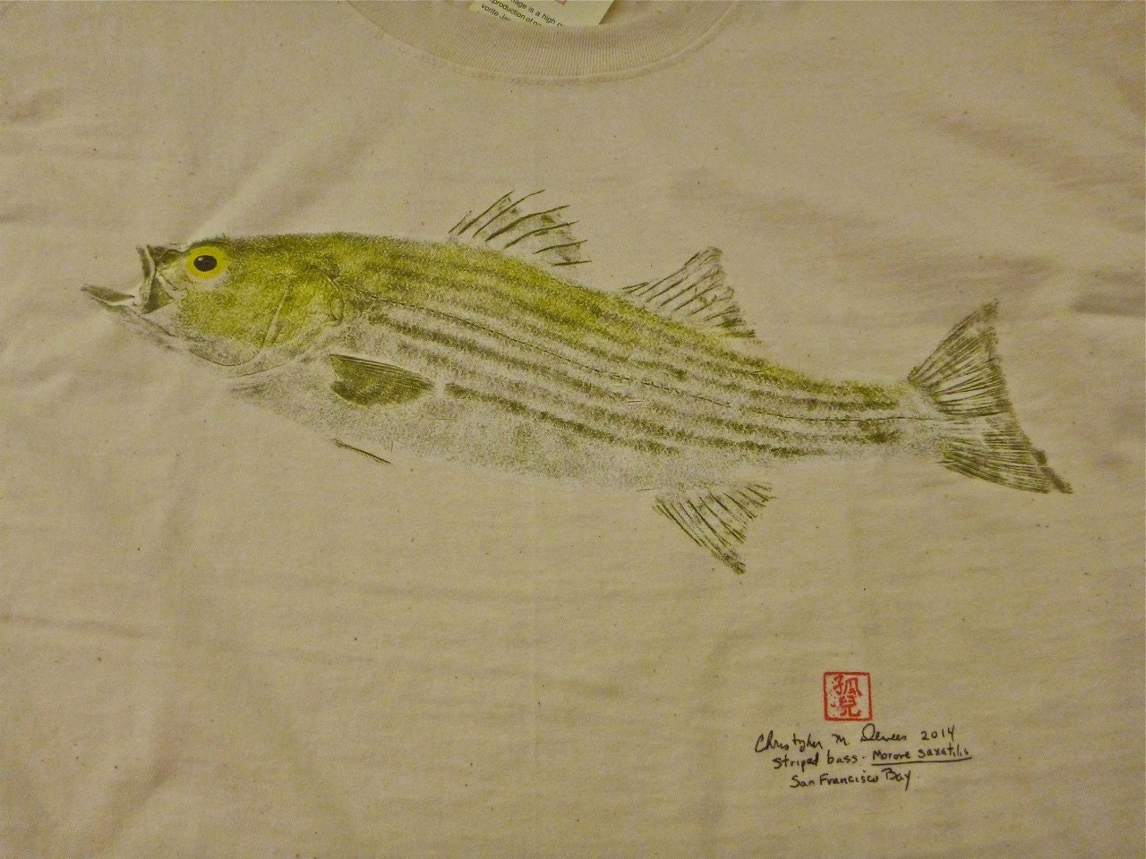 Fish Graphic Design Tee Shirt - Stripped Bass & Marlin