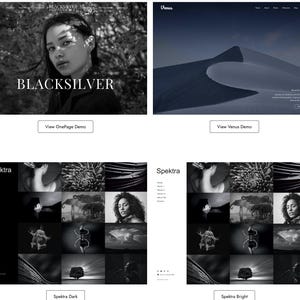 Blacksilver WordPress Theme | Feminine WordPress Theme | Elementor Pro Theme | Photography Theme | Ecomet Themes