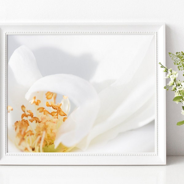 Soft White Flower Macro Petals - Digital Download Printable Wall Art - Photography Home Decor